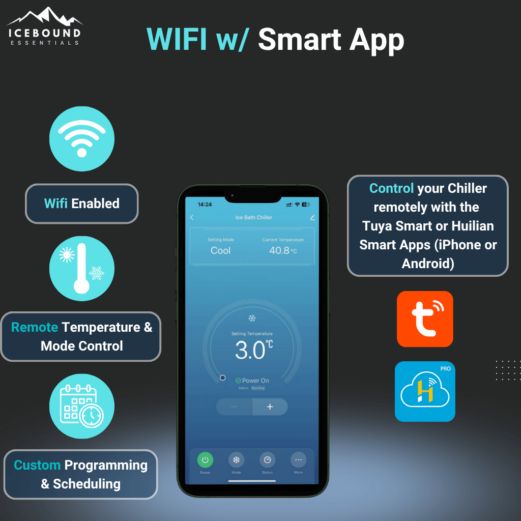 A single green leaf against a white background.