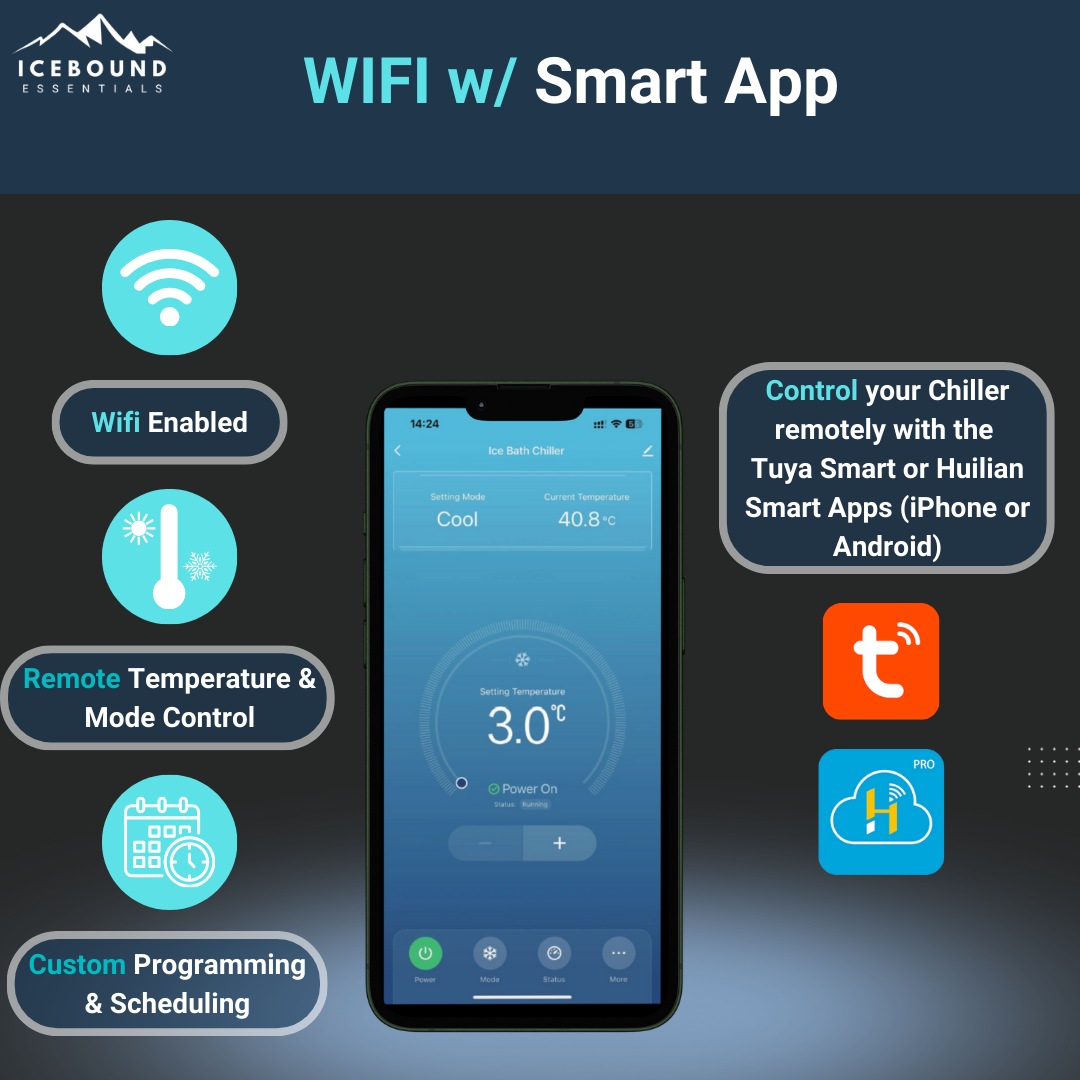 A single green leaf against a white background.