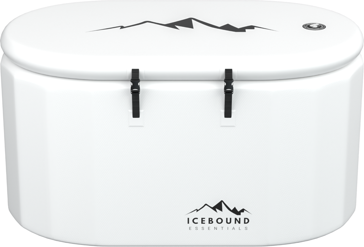 A single green leaf against a white background.