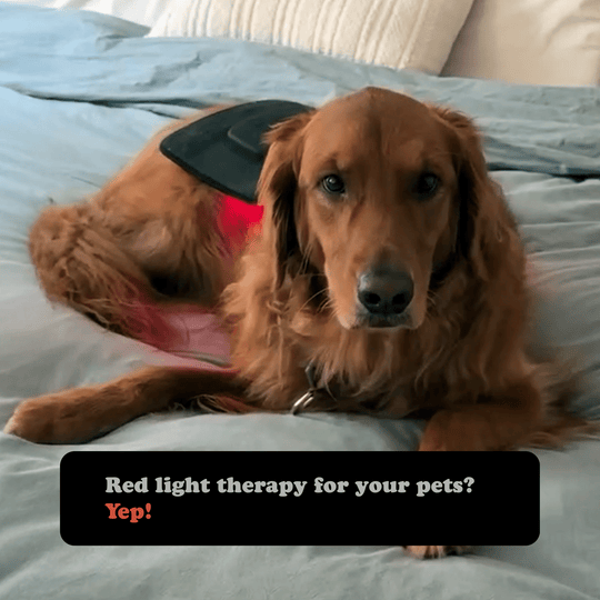 Red Light Therapy Wrap