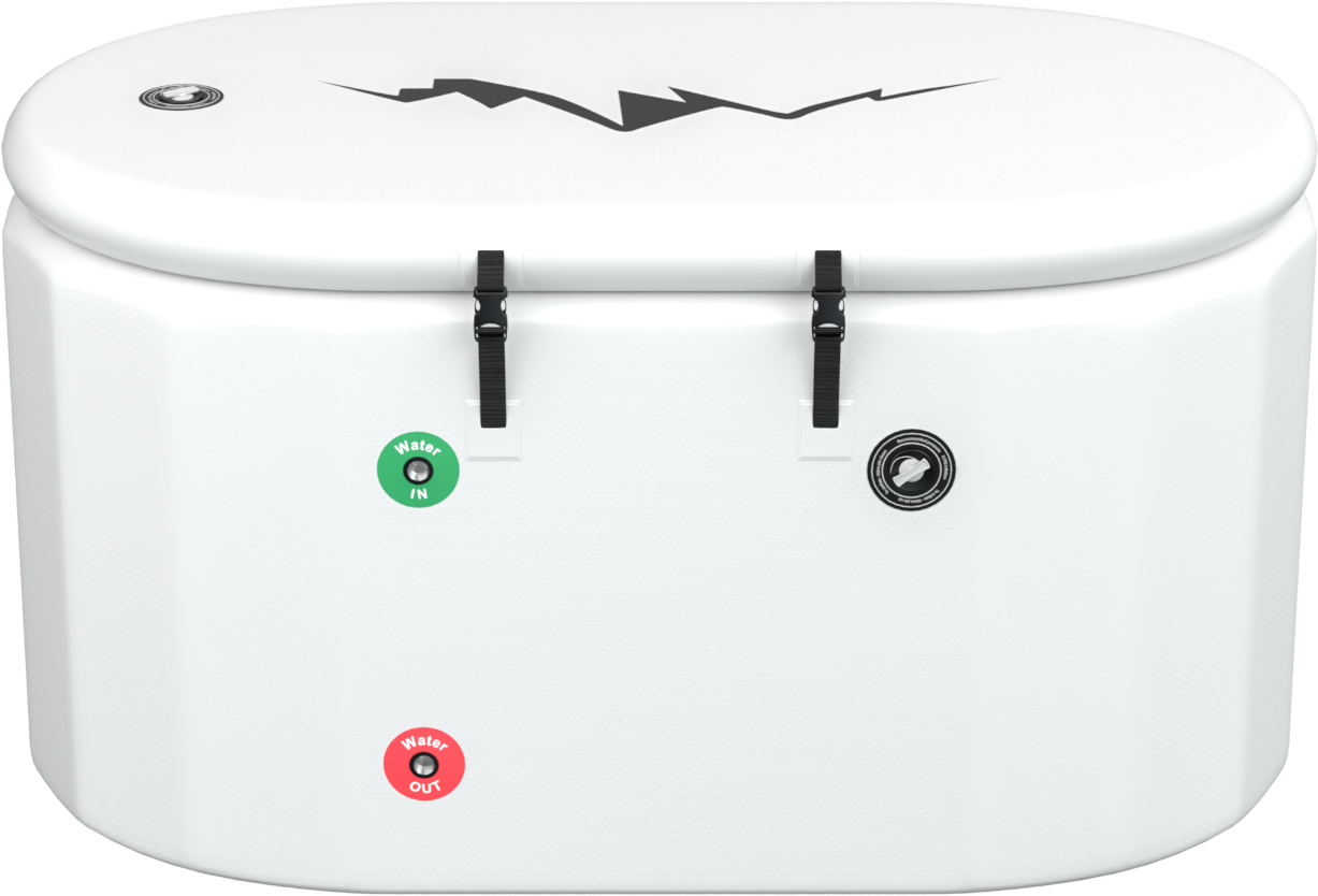 A single green leaf against a white background.